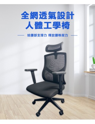 WIPAS WPS-CH2008B 高網背油壓扶手轉椅(有頭枕)